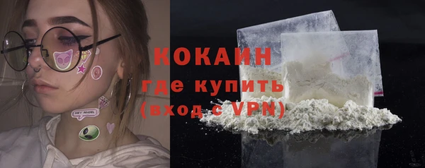 сатива Абаза