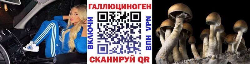 Галлюциногенные грибы Psilocybine cubensis Вилючинск